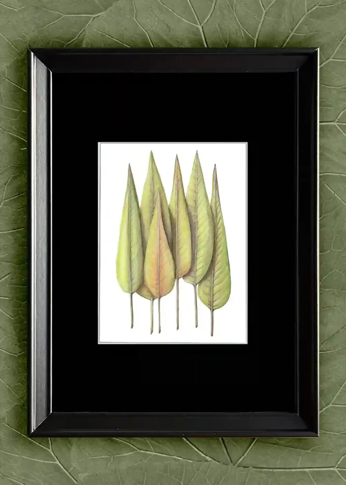 Leaves United - Image 3