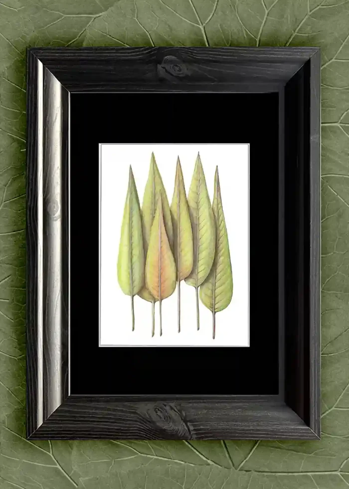 Leaves United - Image 5