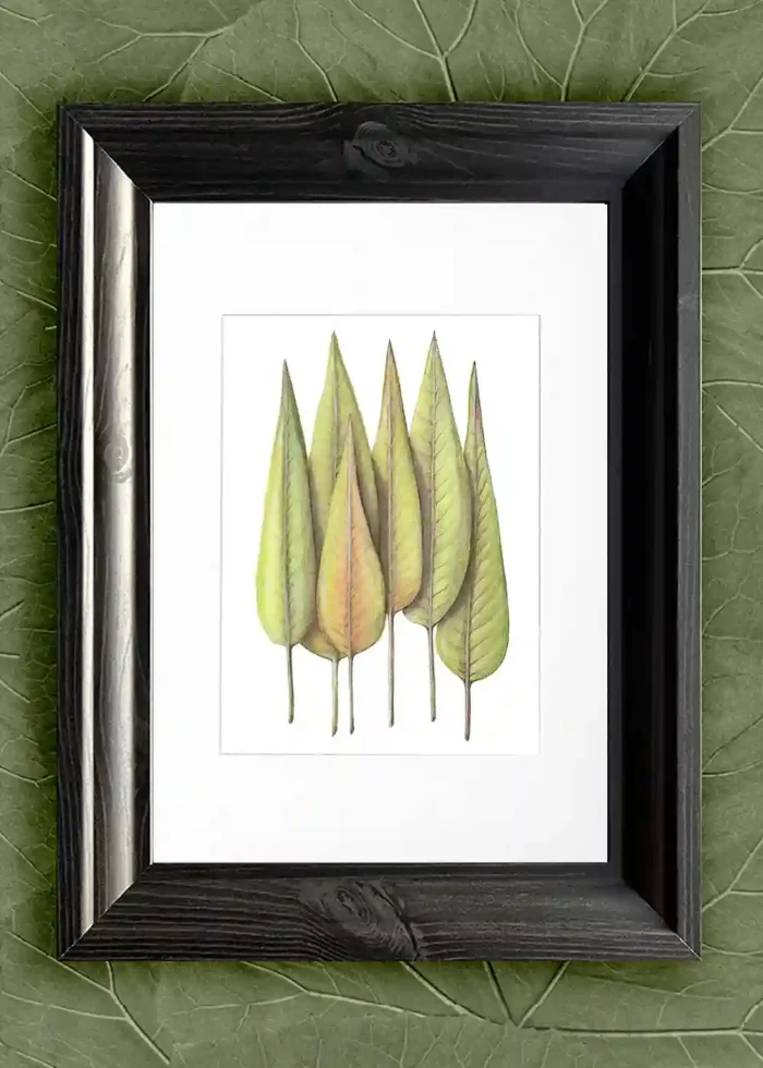 Leaves United - Image 6