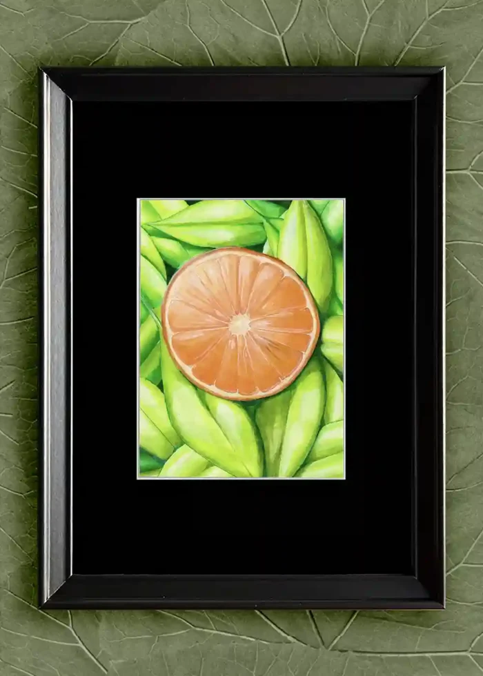 Orange Vision - Image 6