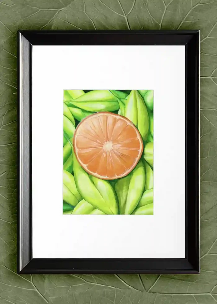 Orange Vision - Image 5