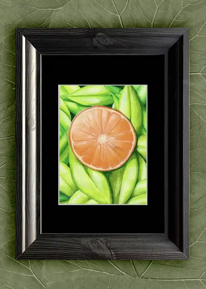 Orange Vision - Image 4