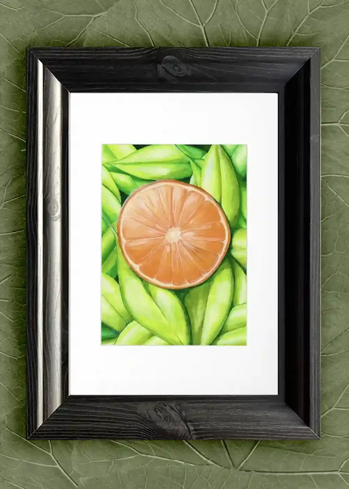 Orange Vision - Image 3
